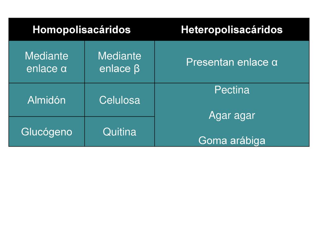Homopolisacáridos Heteropolisacáridos. Mediante enlace α. Mediante enlace β. Presentan enlace α.