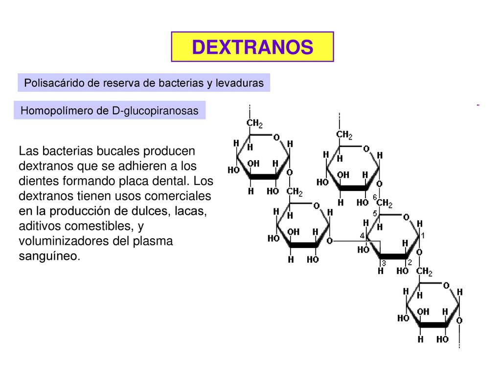 DEXTRANOS Polisacárido de reserva de bacterias y levaduras. Homopolímero de D-glucopiranosas.