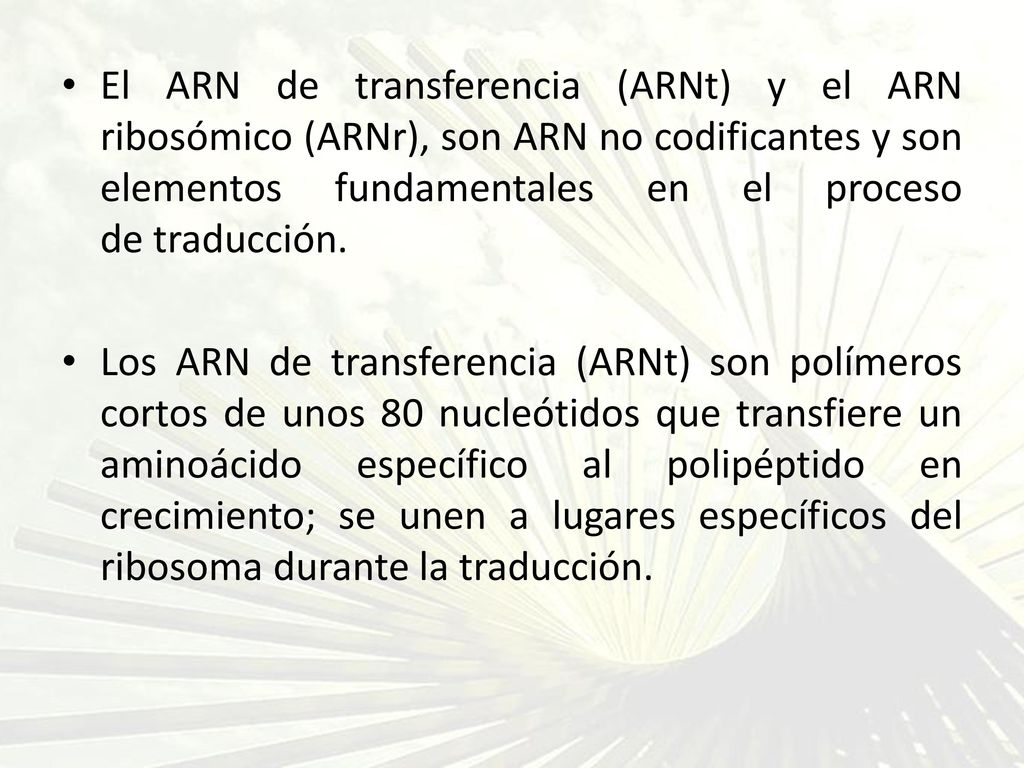 El ARN de transferencia (ARNt) y el ARN ribosómico (ARNr), son ARN no codificantes y son elementos fundamentales en el proceso de traducción.