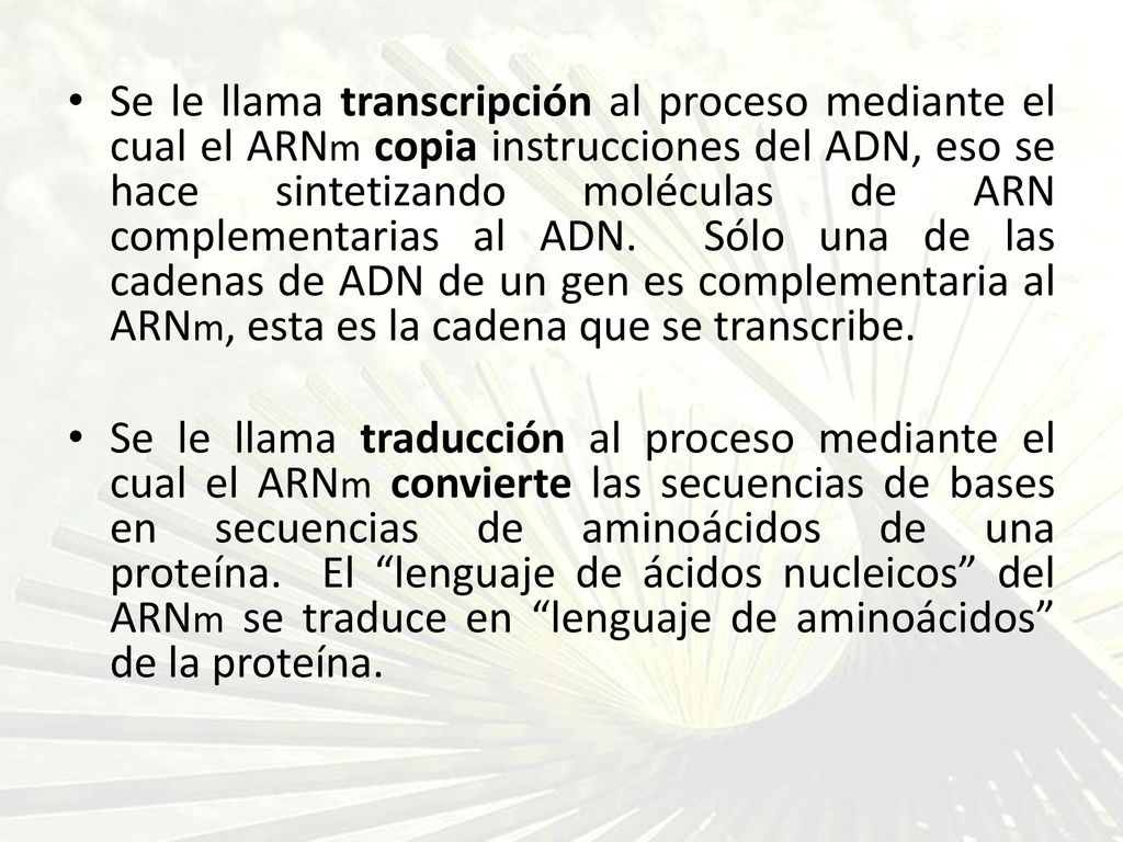 Se le llama transcripción al proceso mediante el cual el ARNm copia instrucciones del ADN, eso se hace sintetizando moléculas de ARN complementarias al ADN. Sólo una de las cadenas de ADN de un gen es complementaria al ARNm, esta es la cadena que se transcribe.