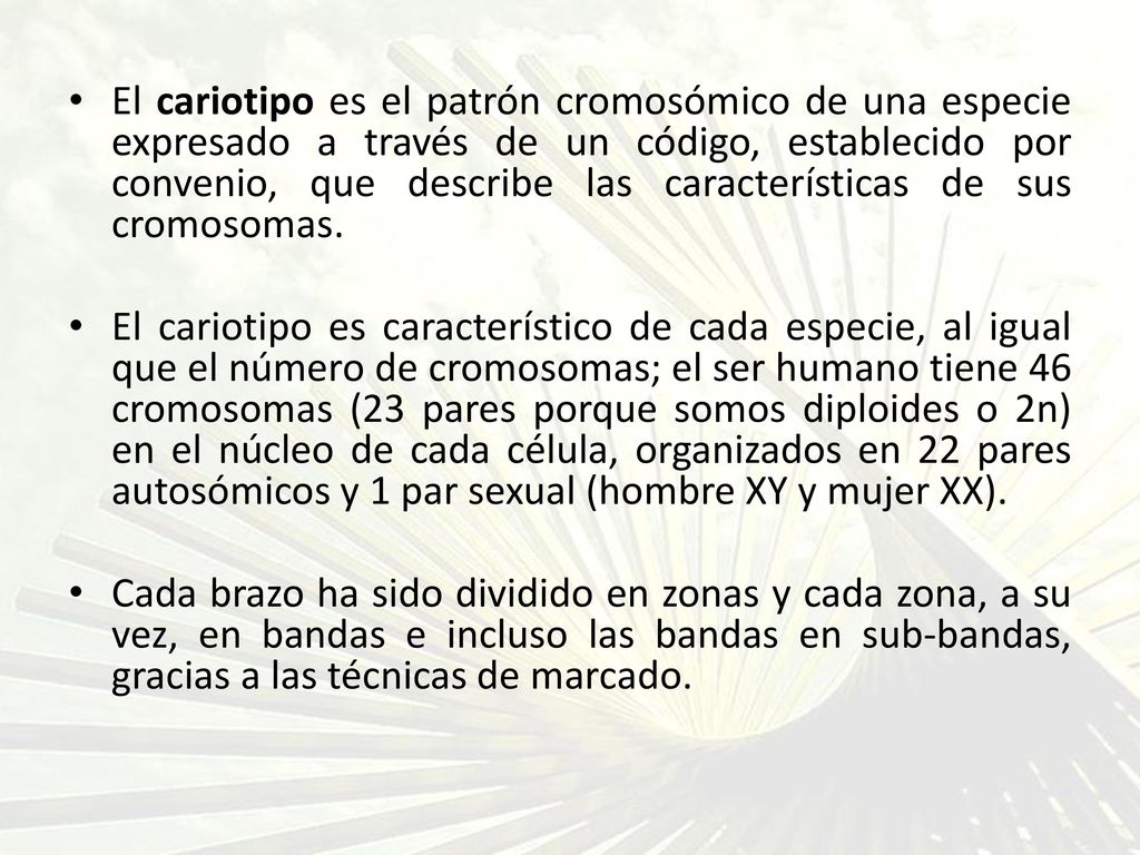 El cariotipo es el patrón cromosómico de una especie expresado a través de un código, establecido por convenio, que describe las características de sus cromosomas.