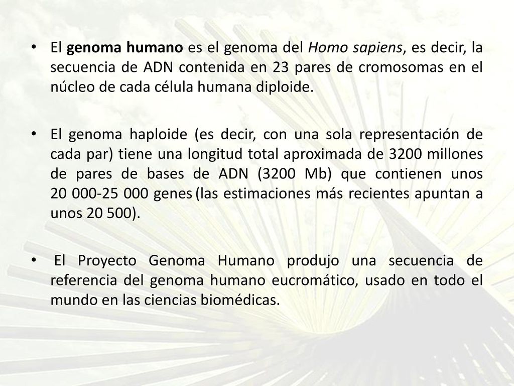 El genoma humano es el genoma del Homo sapiens, es decir, la secuencia de ADN contenida en 23 pares de cromosomas en el núcleo de cada célula humana diploide.