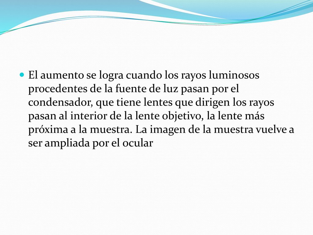 El aumento se logra cuando los rayos luminosos procedentes de la fuente de luz pasan por el condensador, que tiene lentes que dirigen los rayos pasan al interior de la lente objetivo, la lente más próxima a la muestra.