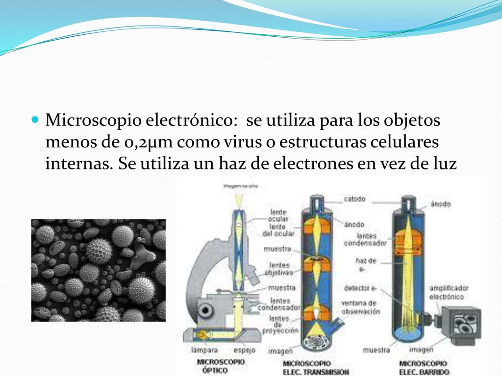 Microscopio de fluorescencia: aprovecha las ventajas de la fluorescencia.