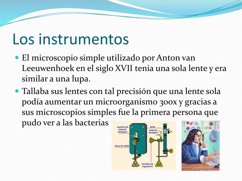 Los instrumentos El microscopio simple utilizado por Anton van Leeuwenhoek en el siglo XVII tenia una sola lente y era similar a una lupa.
