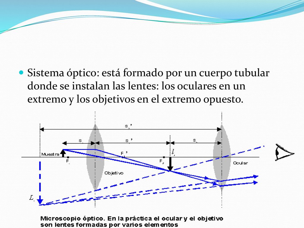 Sistema óptico: está formado por un cuerpo tubular donde se instalan las lentes: los oculares en un extremo y los objetivos en el extremo opuesto.