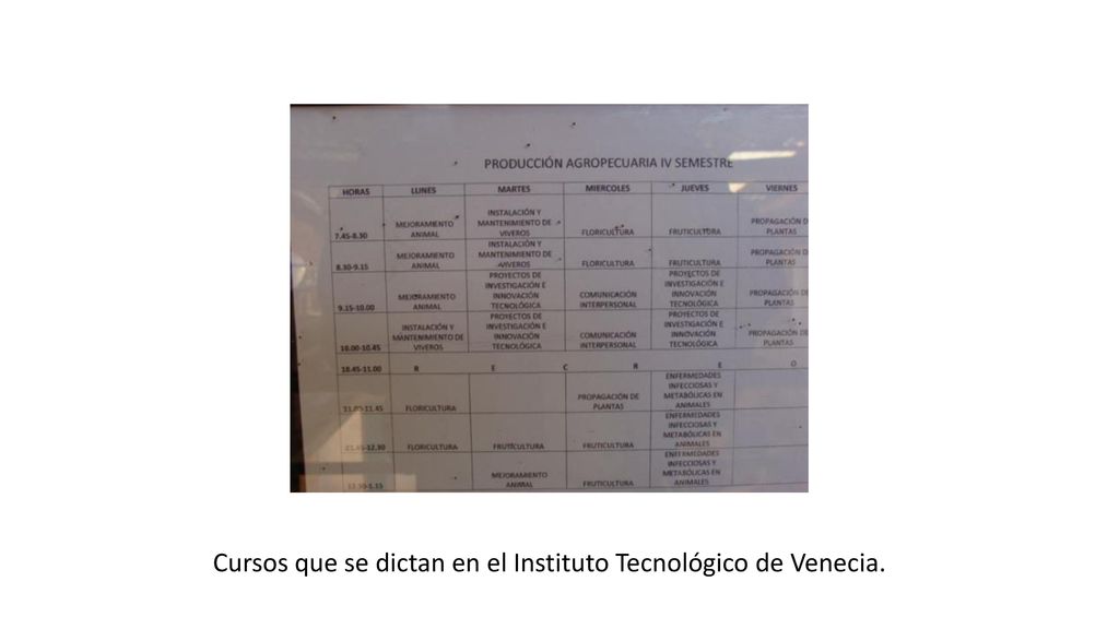 Cursos que se dictan en el Instituto Tecnológico de Venecia.