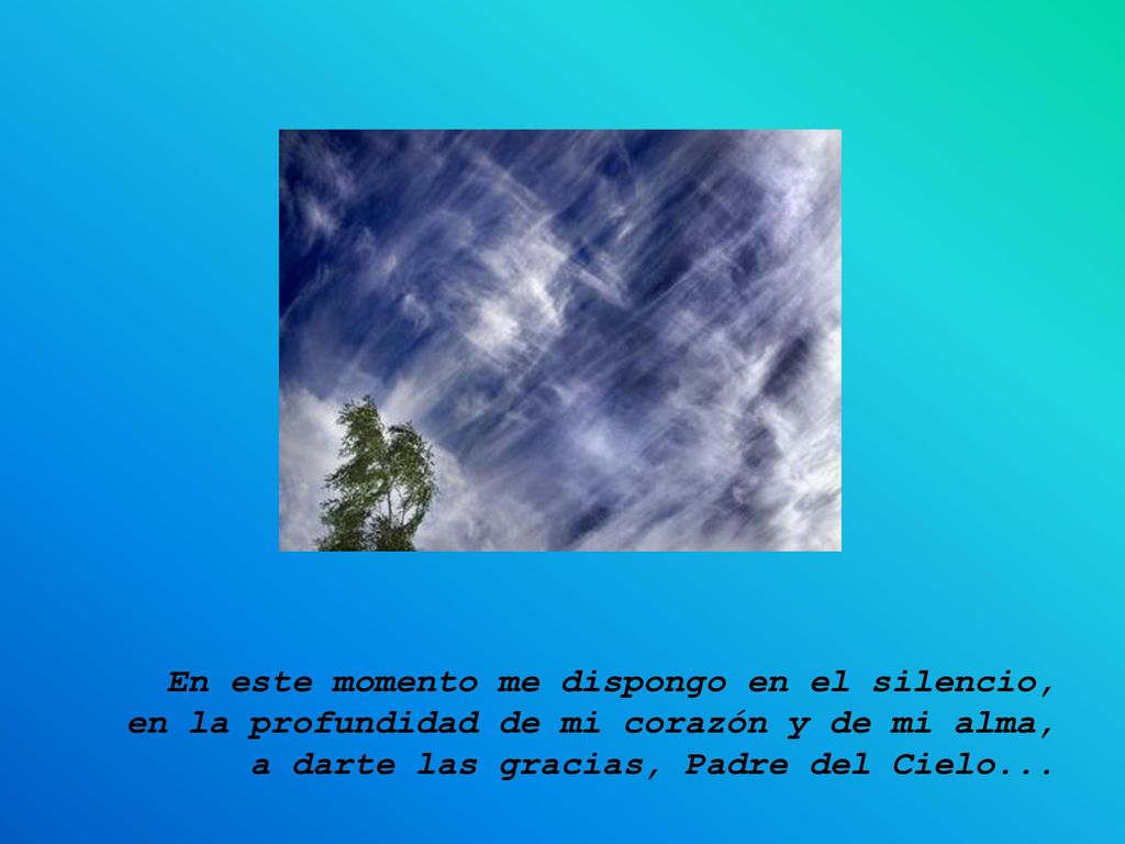 En este momento me dispongo en el silencio, en la profundidad de mi corazón y de mi alma, a darte las gracias, Padre del Cielo...