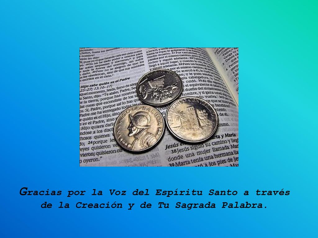 Gracias por la Voz del Espíritu Santo a través de la Creación y de Tu Sagrada Palabra.
