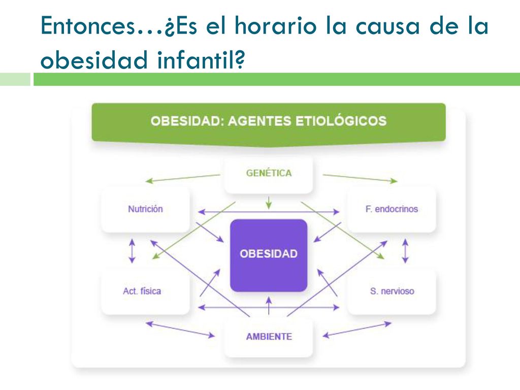 Entonces…¿Es el horario la causa de la obesidad infantil