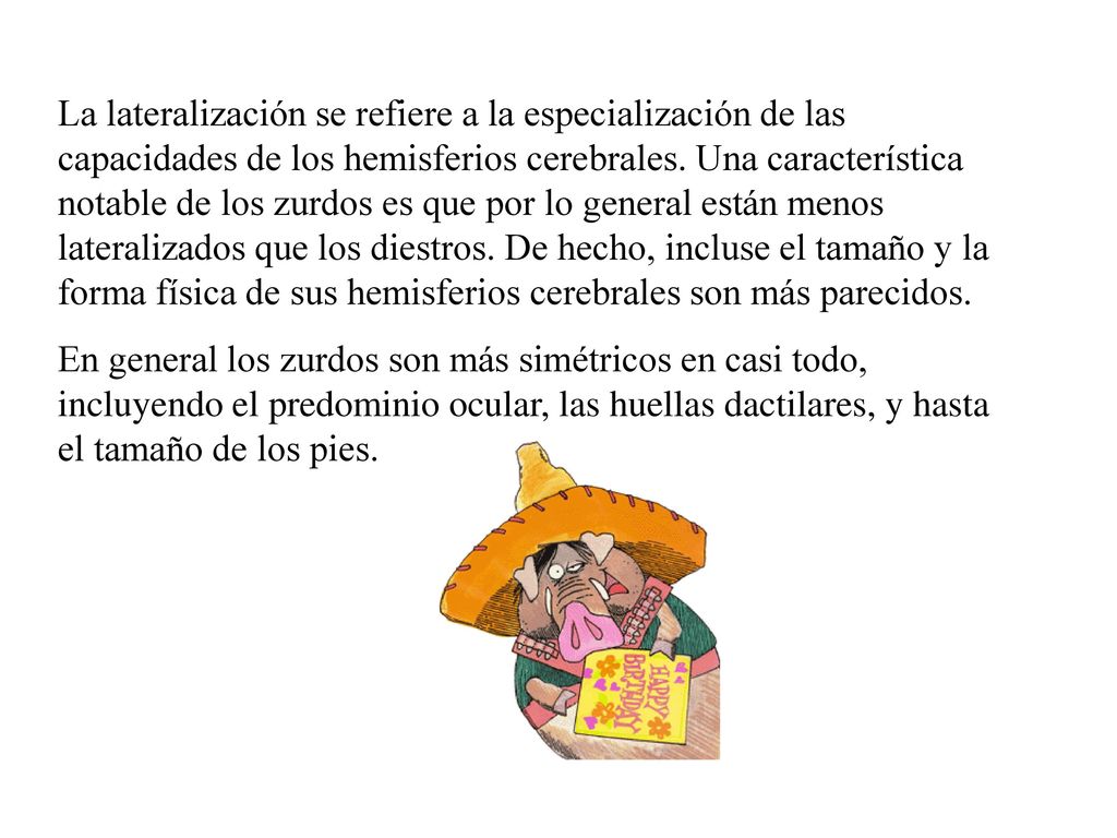 La lateralización se refiere a la especialización de las capacidades de los hemisferios cerebrales. Una característica notable de los zurdos es que por lo general están menos lateralizados que los diestros. De hecho, incluse el tamaño y la forma física de sus hemisferios cerebrales son más parecidos.