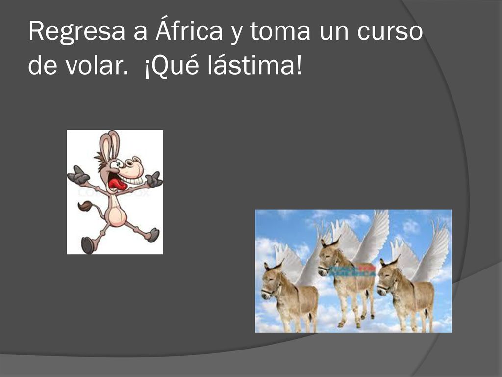 Regresa a África y toma un curso de volar. ¡Qué lástima!