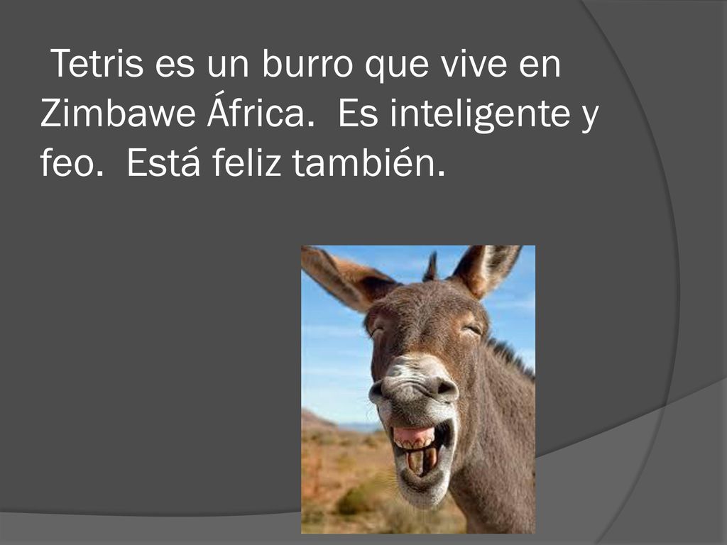 Tetris es un burro que vive en Zimbawe África. Es inteligente y feo