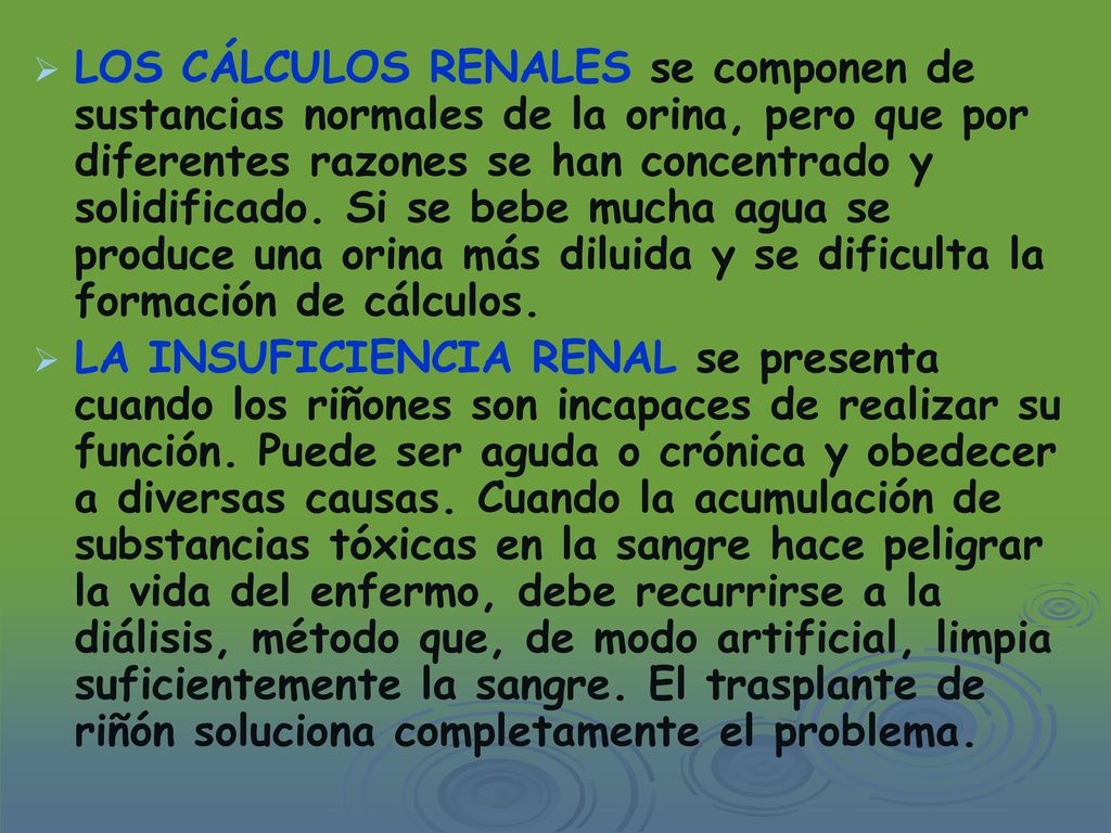 LOS CÁLCULOS RENALES se componen de sustancias normales de la orina, pero que por diferentes razones se han concentrado y solidificado. Si se bebe mucha agua se produce una orina más diluida y se dificulta la formación de cálculos.