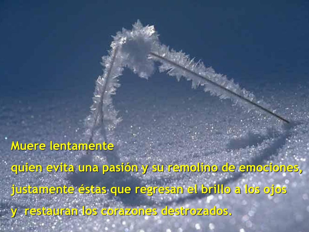 Muere lentamente quien evita una pasión y su remolino de emociones, justamente éstas que regresan el brillo a los ojos.