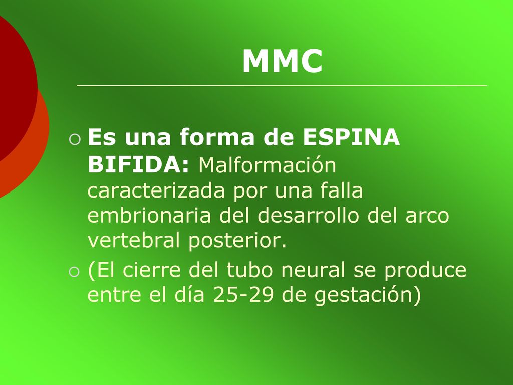 MMC Es una forma de ESPINA BIFIDA: Malformación caracterizada por una falla embrionaria del desarrollo del arco vertebral posterior.