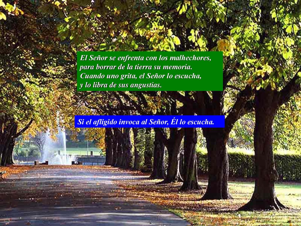El Señor se enfrenta con los malhechores, para borrar de la tierra su memoria. Cuando uno grita, el Señor lo escucha, y lo libra de sus angustias.