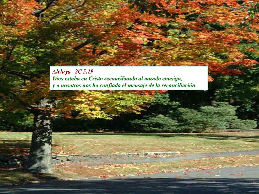 Aleluya 2C 5,19 Dios estaba en Cristo reconciliando al mundo consigo, y a nosotros nos ha confiado el mensaje de la reconciliación.