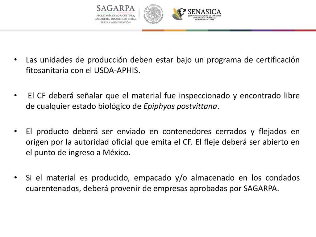 Las unidades de producción deben estar bajo un programa de certificación fitosanitaria con el USDA-APHIS.