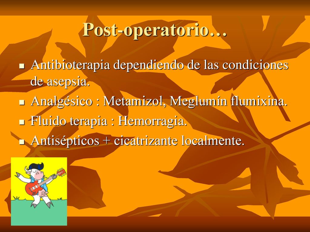 Post-operatorio… Antibioterapia dependiendo de las condiciones de asepsia. Analgésico : Metamizol, Meglumín flumixina.