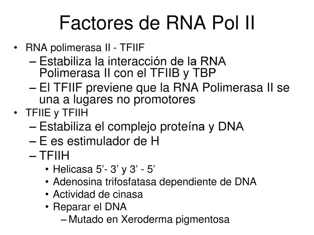 Factores de RNA Pol II RNA polimerasa II - TFIIF. Estabiliza la interacción de la RNA Polimerasa II con el TFIIB y TBP.