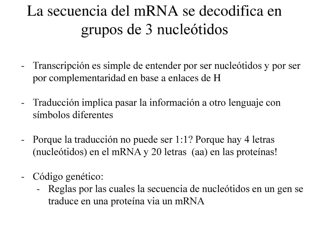 La secuencia del mRNA se decodifica en grupos de 3 nucleótidos