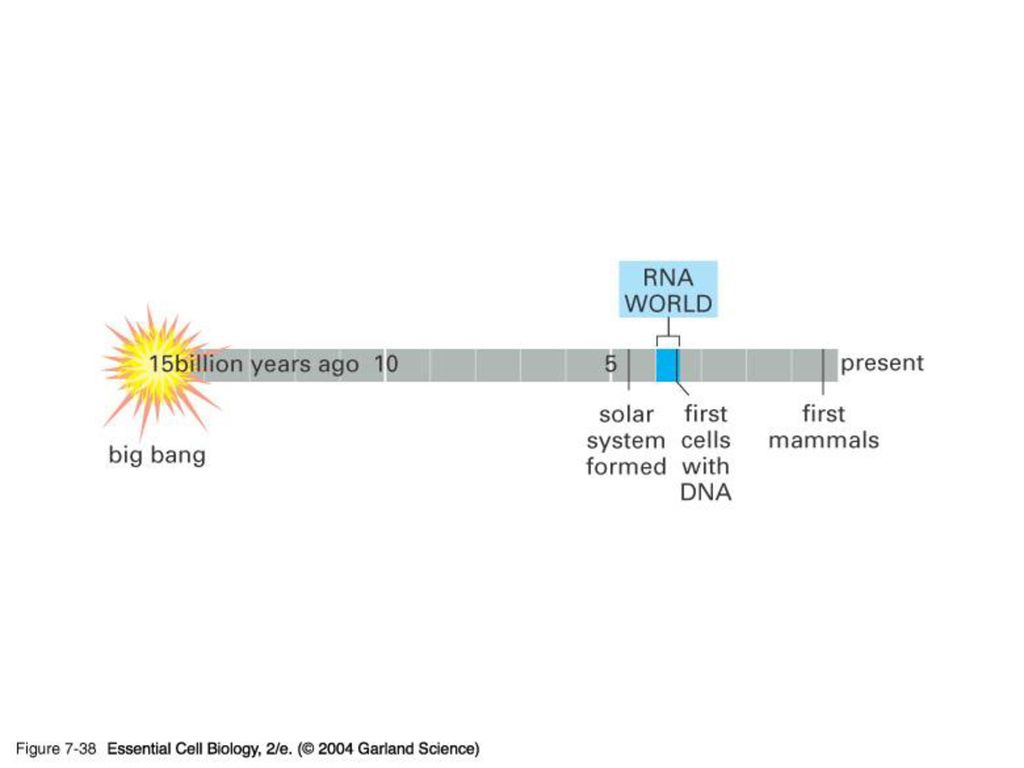 07_38_RNA world.jpg 07_38_RNA world.jpg