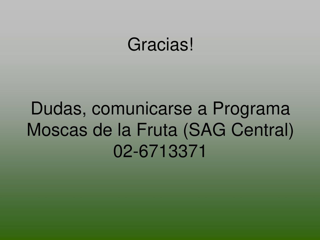 Gracias! Dudas, comunicarse a Programa Moscas de la Fruta (SAG Central)