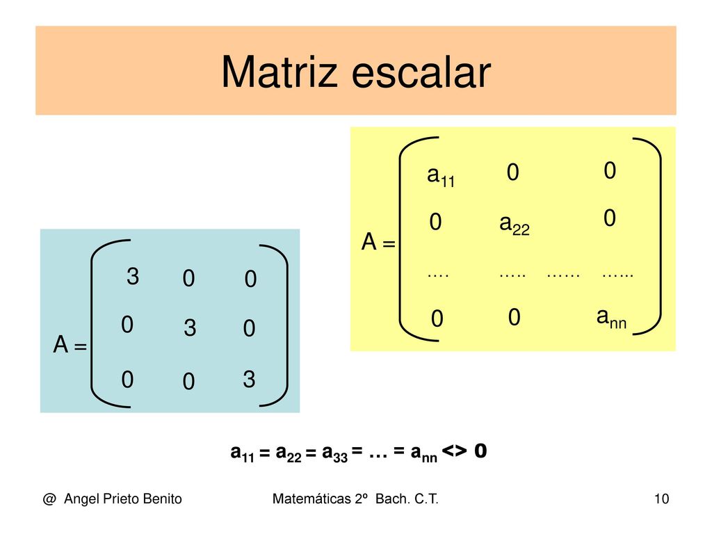 Matriz escalar a11 a22 A = 3 ann 3 A = 3