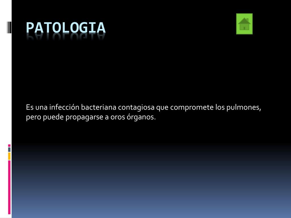 patologia Es una infección bacteriana contagiosa que compromete los pulmones, pero puede propagarse a oros órganos.