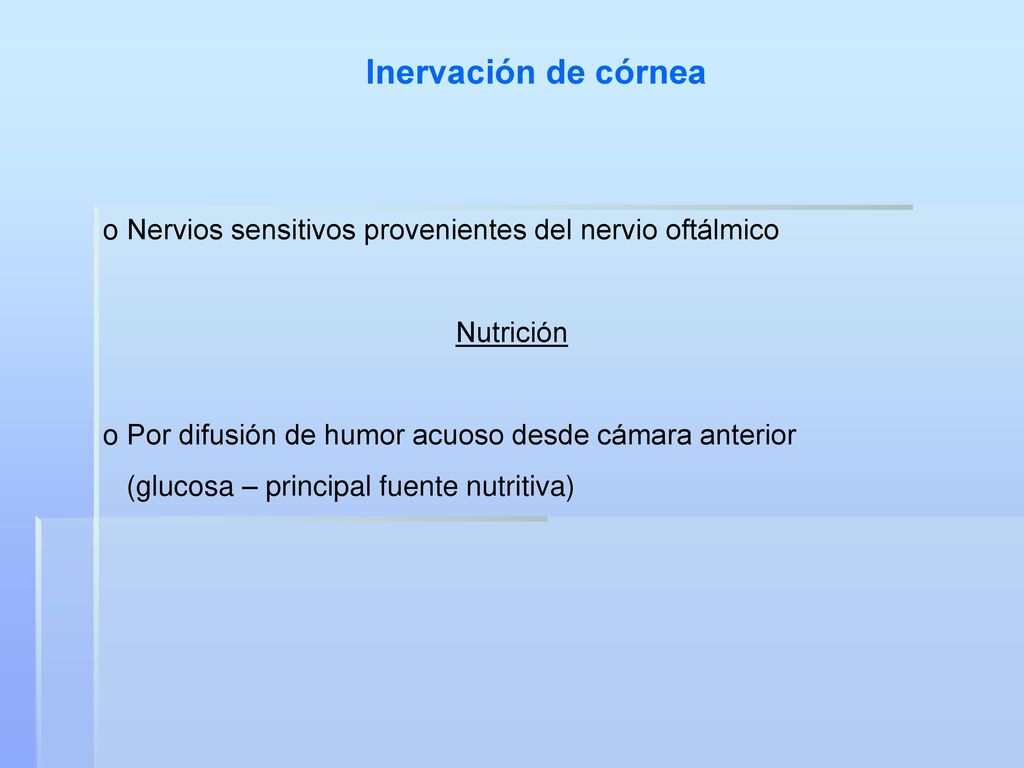 Inervación de córnea Nervios sensitivos provenientes del nervio oftálmico. Nutrición. Por difusión de humor acuoso desde cámara anterior.