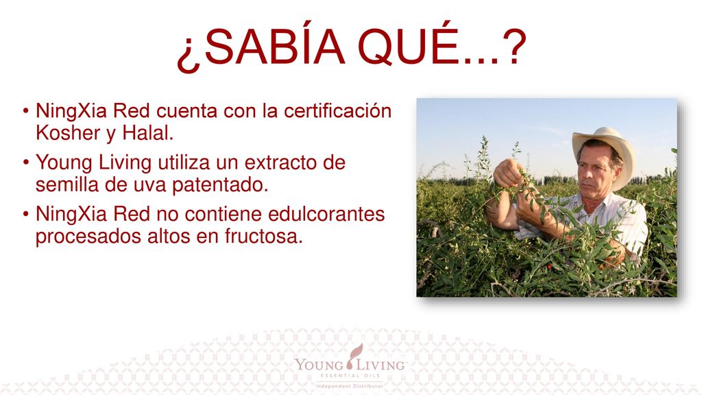 ¿SABÍA QUÉ... NingXia Red cuenta con la certificación Kosher y Halal.