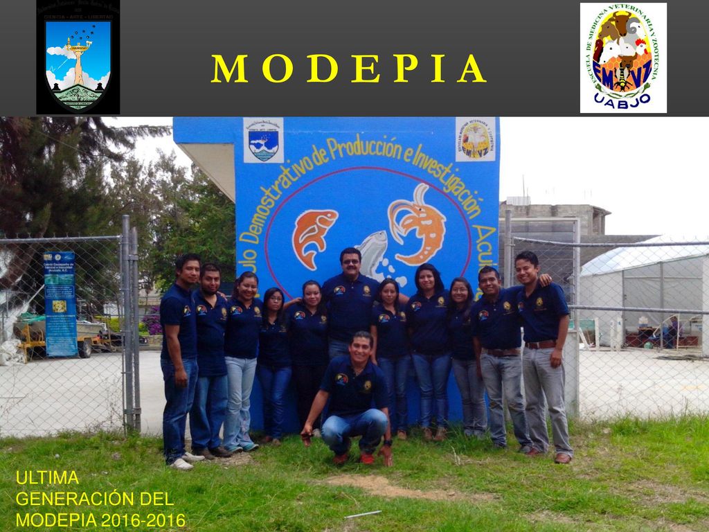 M O D E P I A ULTIMA GENERACIÓN DEL MODEPIA