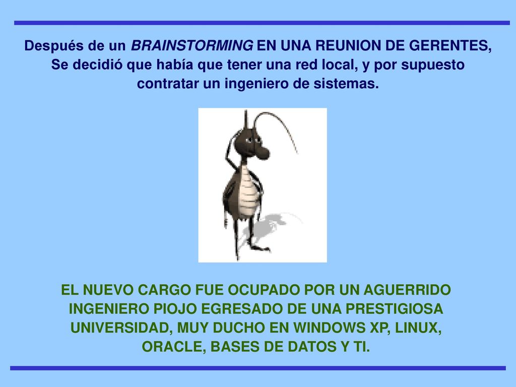 Después de un BRAINSTORMING EN UNA REUNION DE GERENTES, Se decidió que había que tener una red local, y por supuesto contratar un ingeniero de sistemas.