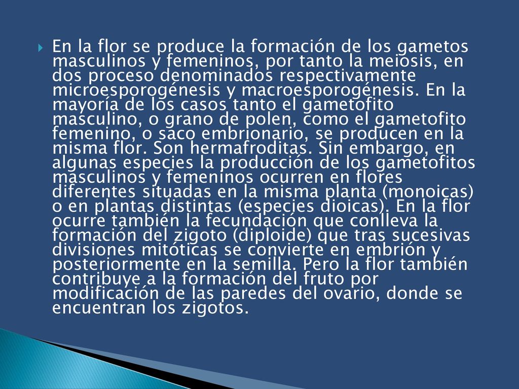 En la flor se produce la formación de los gametos masculinos y femeninos, por tanto la meiosis, en dos proceso denominados respectivamente microesporogénesis y macroesporogénesis.