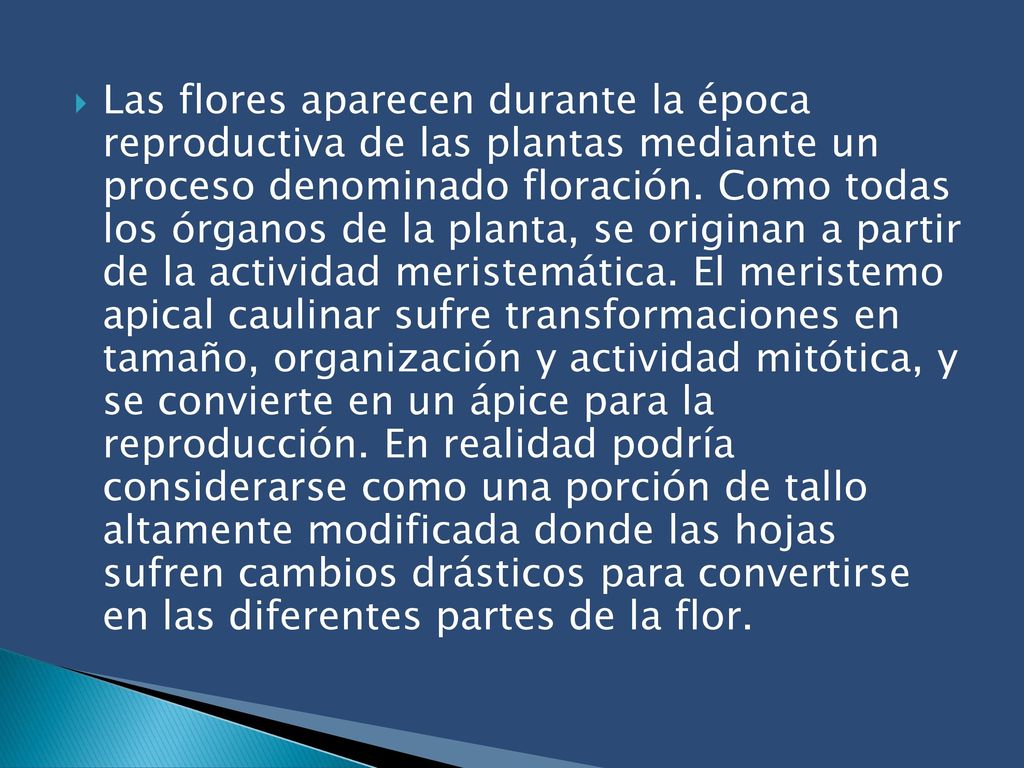 Las flores aparecen durante la época reproductiva de las plantas mediante un proceso denominado floración.