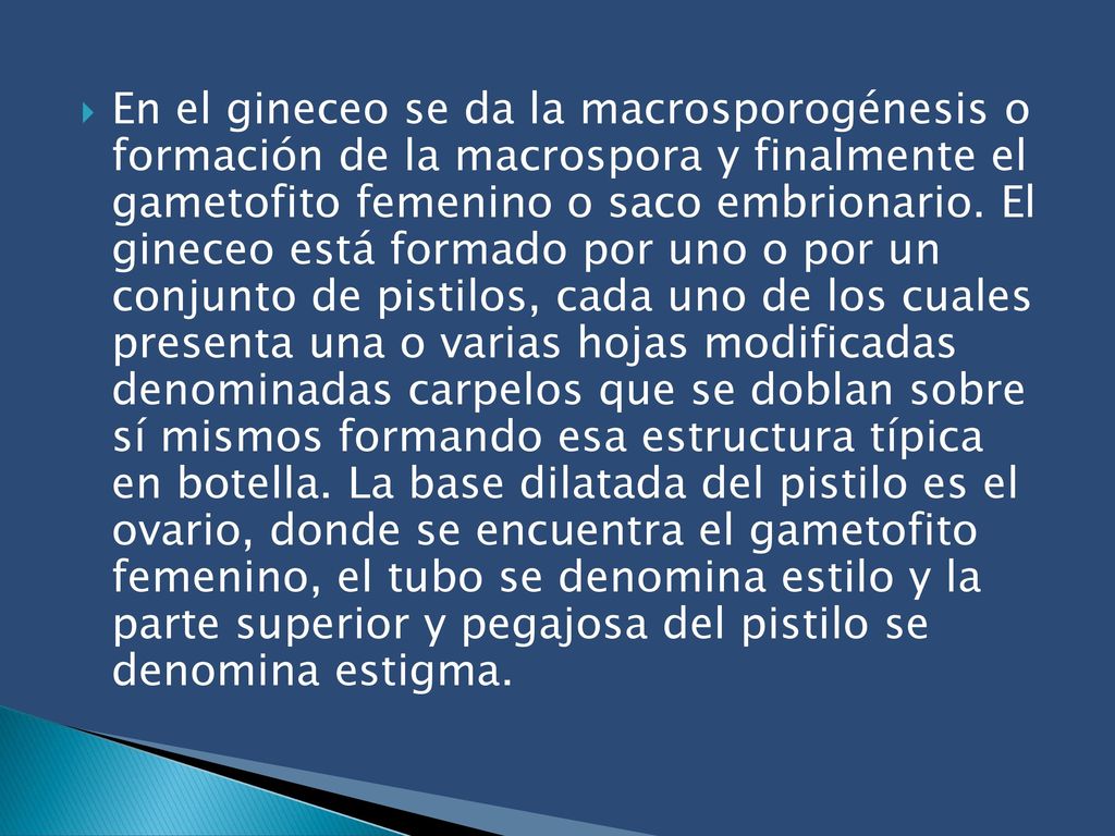 En el gineceo se da la macrosporogénesis o formación de la macrospora y finalmente el gametofito femenino o saco embrionario.