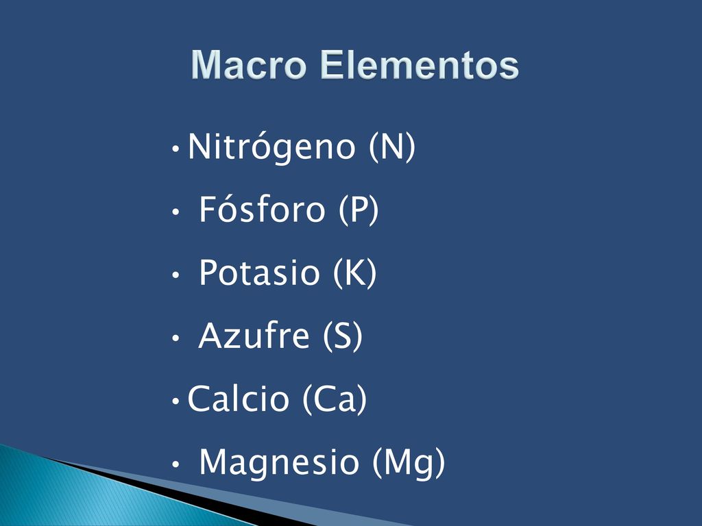 Macro Elementos Nitrógeno (N) Fósforo (P) Potasio (K) Azufre (S)