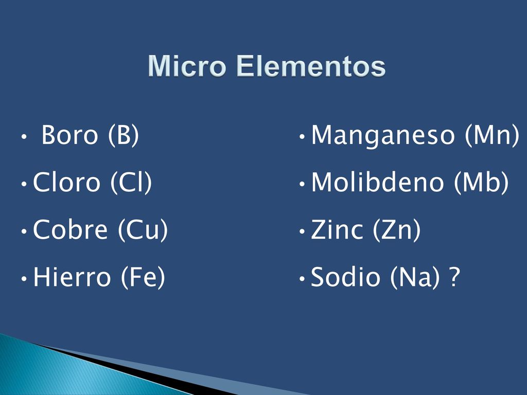 Micro Elementos Boro (B) Cloro (Cl) Cobre (Cu) Hierro (Fe)