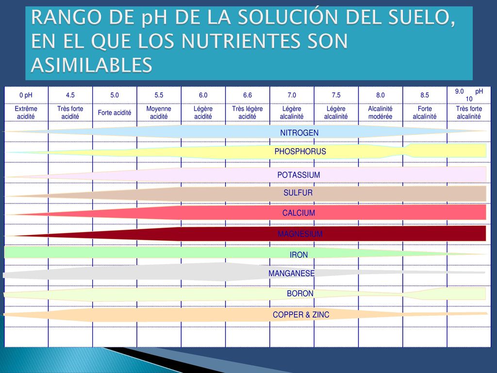 RANGO DE pH DE LA SOLUCIÓN DEL SUELO, EN EL QUE LOS NUTRIENTES SON ASIMILABLES