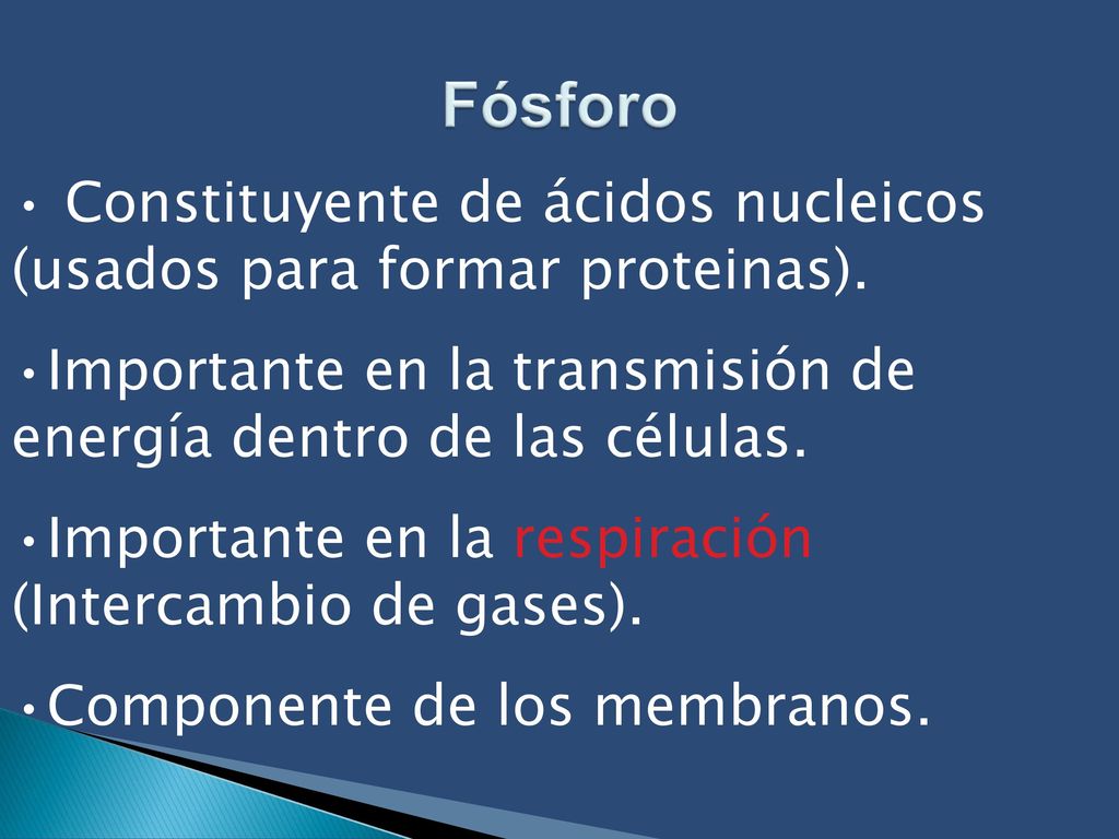 Fósforo Constituyente de ácidos nucleicos (usados para formar proteinas). Importante en la transmisión de energía dentro de las células.