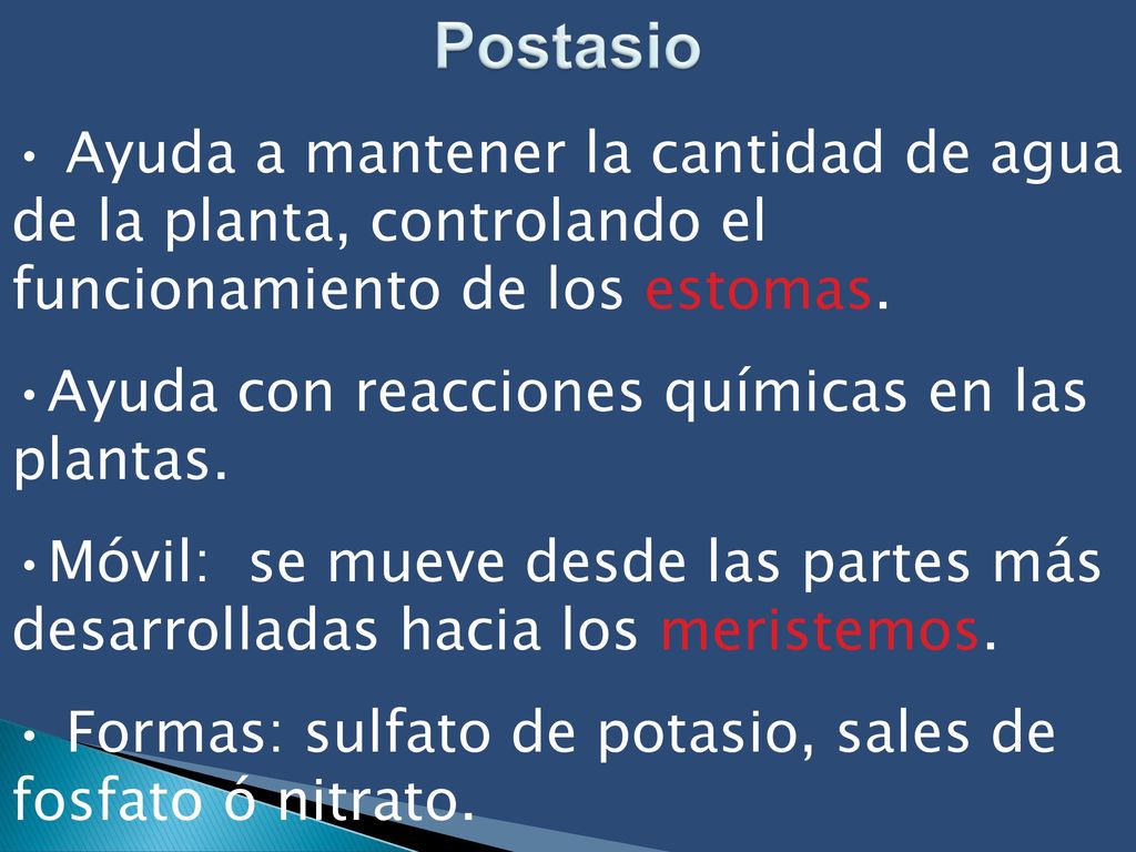 Postasio Ayuda a mantener la cantidad de agua de la planta, controlando el funcionamiento de los estomas.