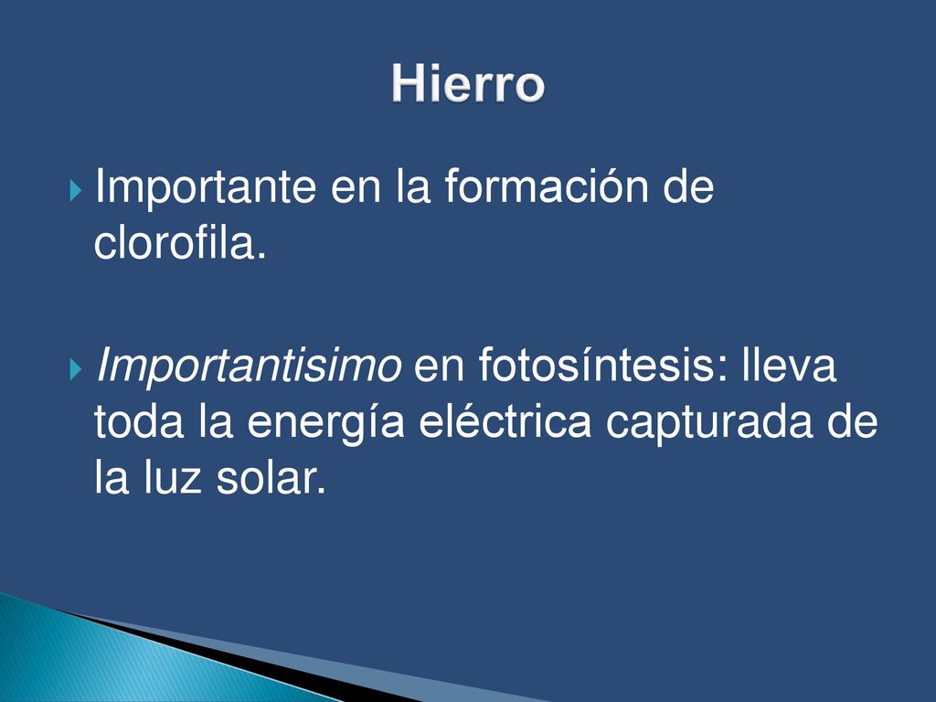 Hierro Importante en la formación de clorofila.