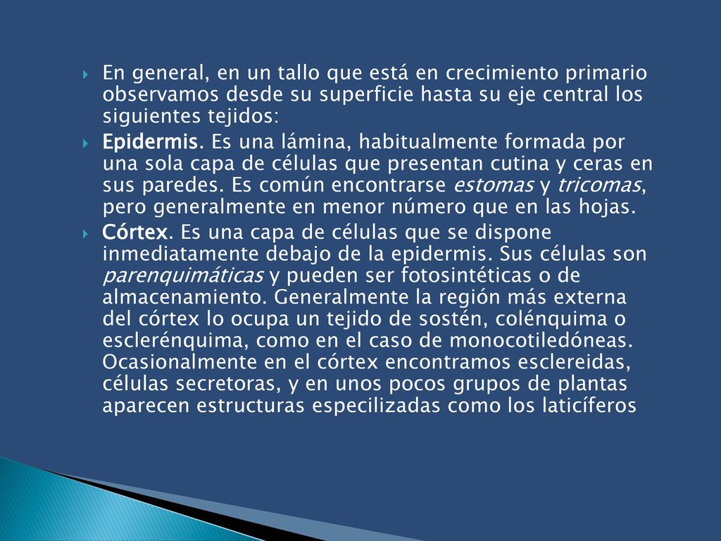 En general, en un tallo que está en crecimiento primario observamos desde su superficie hasta su eje central los siguientes tejidos: