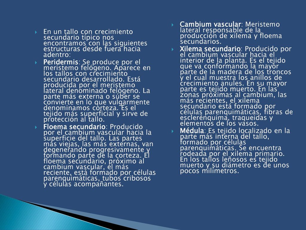 En un tallo con crecimiento secundario típico nos encontramos con las siguientes estructuras desde fuera hacia adentro: