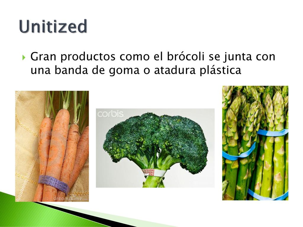 Unitized Gran productos como el brócoli se junta con una banda de goma o atadura plástica