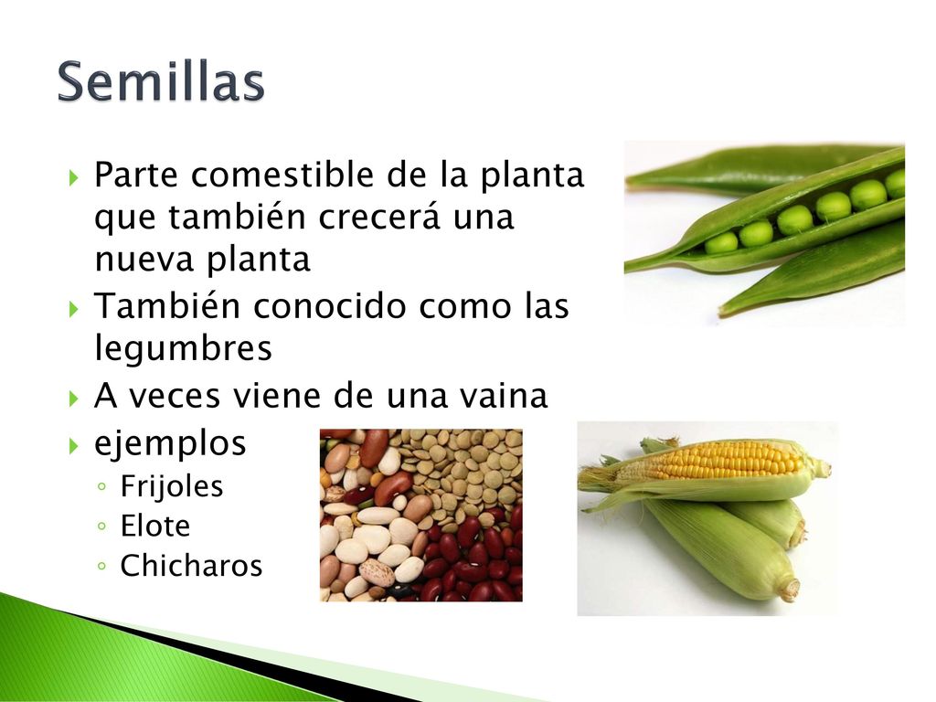 Semillas Parte comestible de la planta que también crecerá una nueva planta. También conocido como las legumbres.