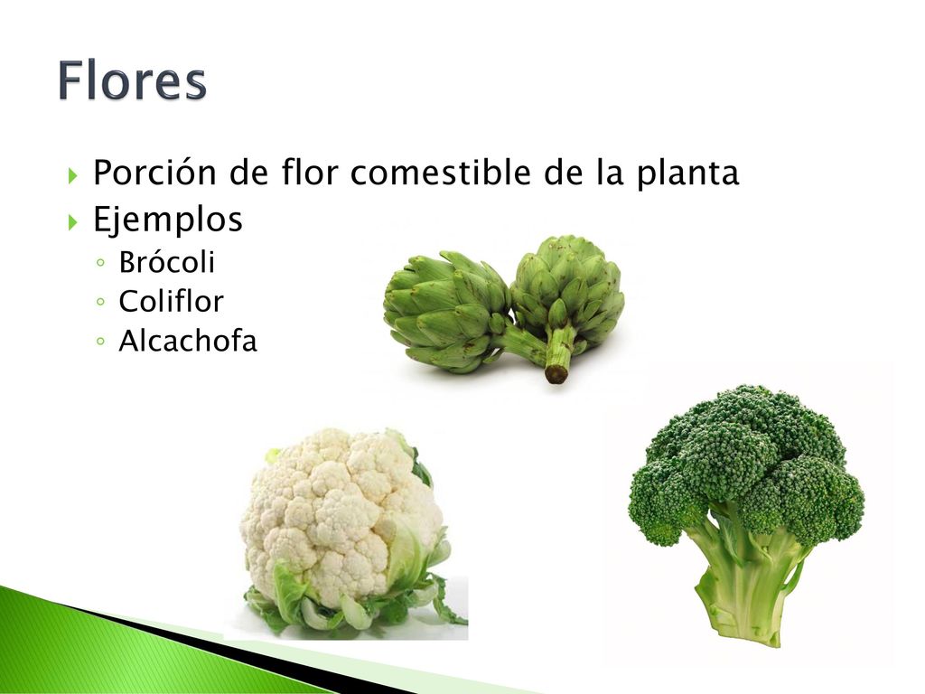 Flores Porción de flor comestible de la planta Ejemplos Brócoli