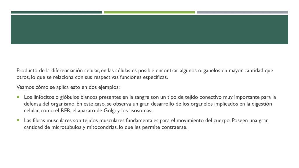 Producto de la diferenciación celular, en las células es posible encontrar algunos organelos en mayor cantidad que otros, lo que se relaciona con sus respectivas funciones específicas.