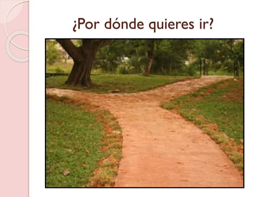 ¿Por dónde quieres ir In GISD, you have many options to choose from…